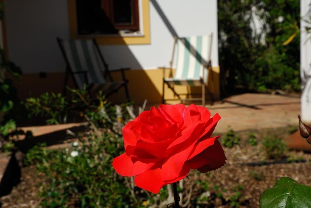 Vale Do Guizo: Casa Poente On The Contryside, Close By The Sea. Aljezur Buitenkant foto